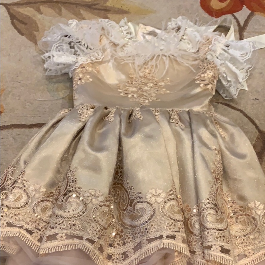 Little Girls Size 6 Gorgeous Coutoure
